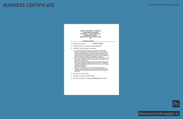 Nigerianische Registrierungsurkunde – Beispielansicht (Word und PDF)